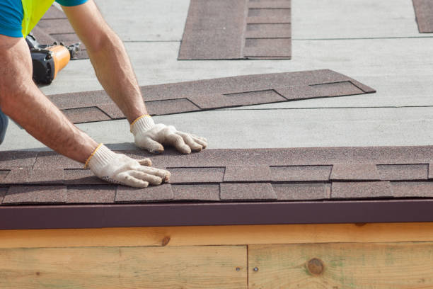 Best Roof Moss and Algae Removal  in Yorkville, WI